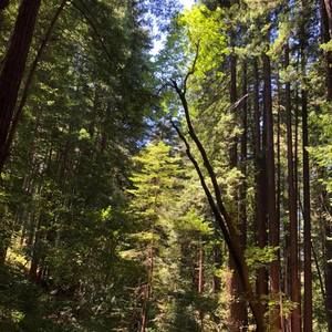 Meet your Posher, Lyann